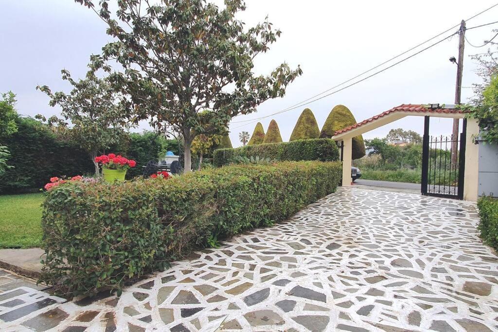 Vacation Studio Oropos Nea Palatia المظهر الخارجي الصورة